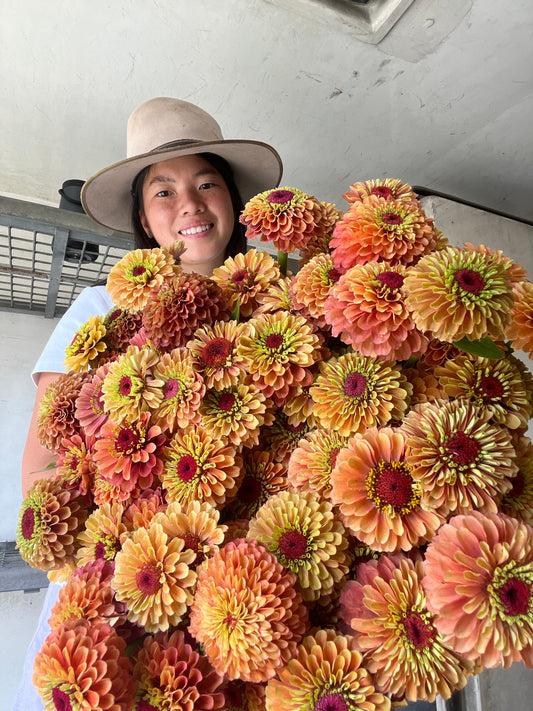Your Local Organic Flower Farm: Thanisa Adam's Wattle Gully Flowers