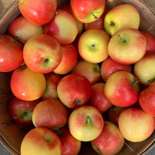 Getting to the Core of Apples