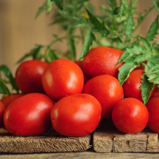 Tomato, Tomato: Seasonality & Saucing
