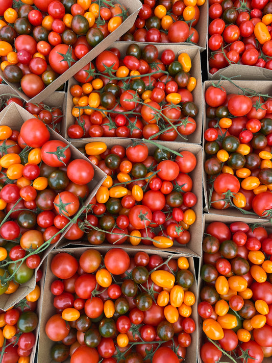 It's Tomato Time