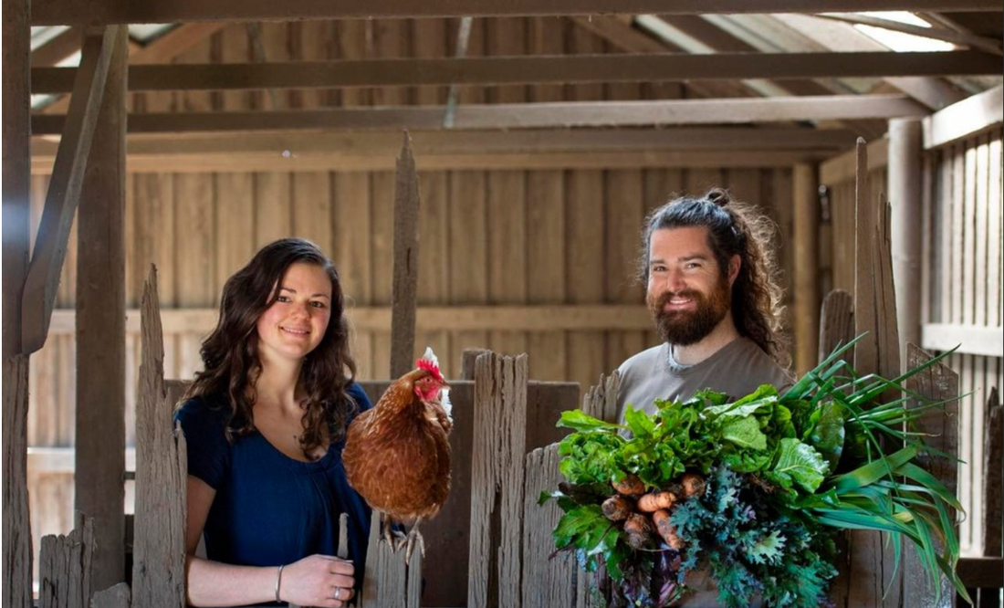 Regenerative Market Farming: Ben Dunn & Wildwood Organics